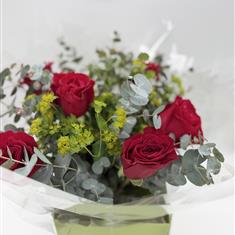      6 Large Red Freedom Roses