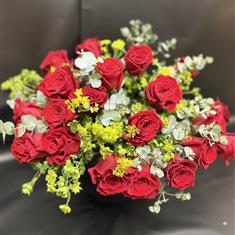     24 Large Red Freedom Roses