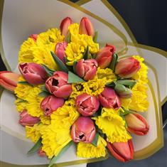     Tulips &amp; Daffodils