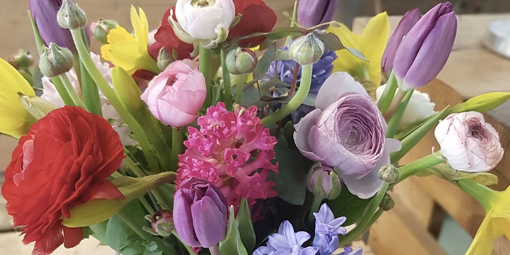 Flowers by Samantha Jane