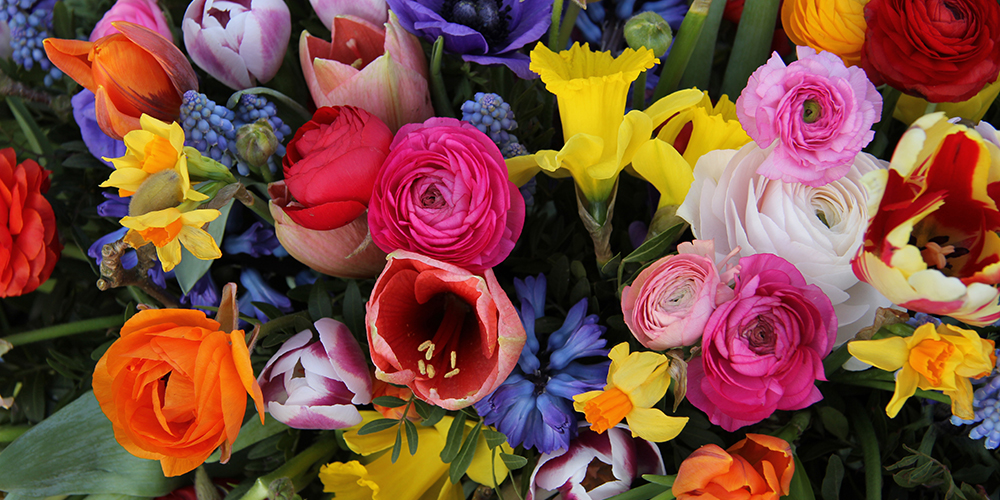 Flowers by Samantha Jane